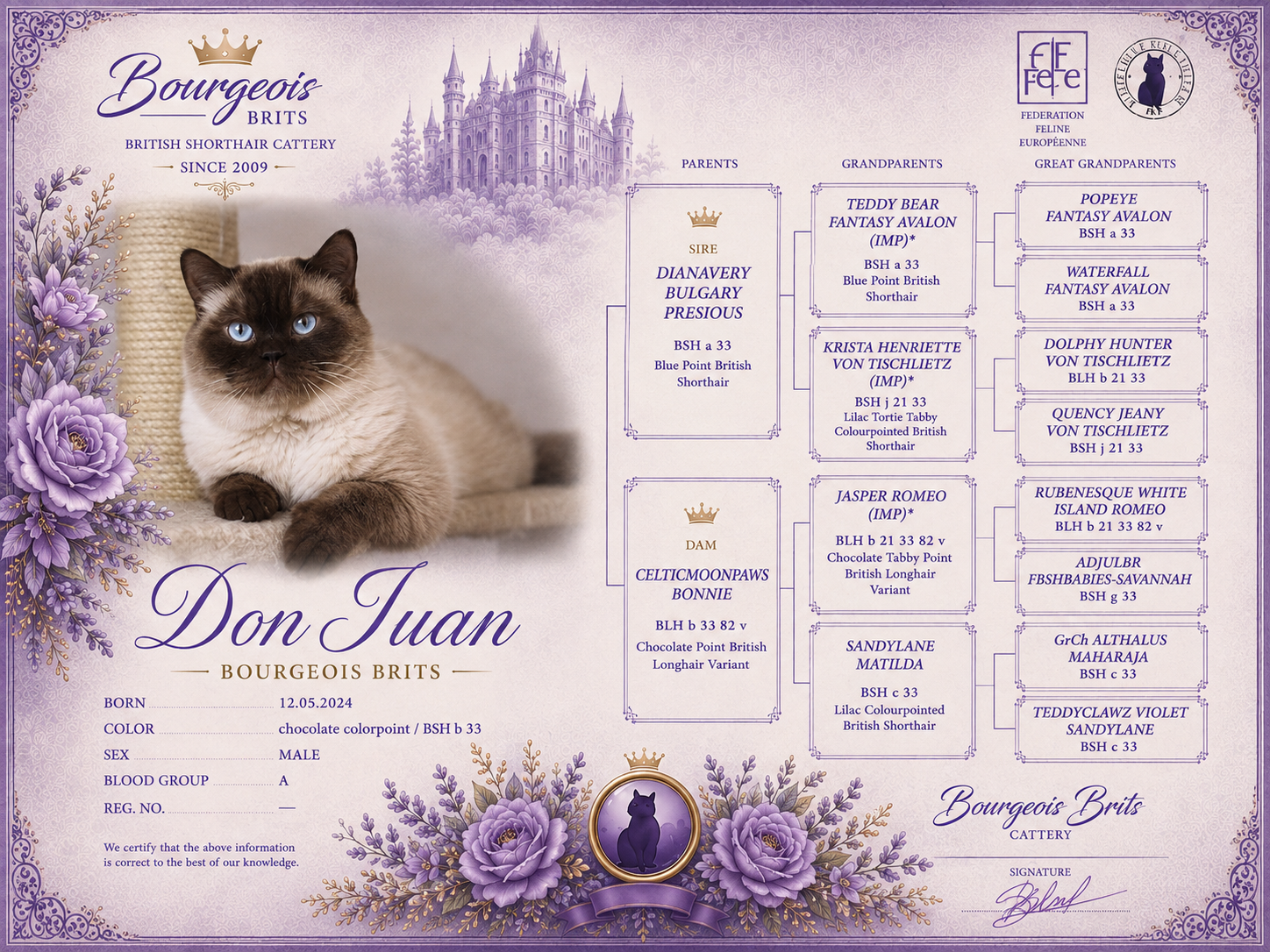 DianAvery Don Juan
