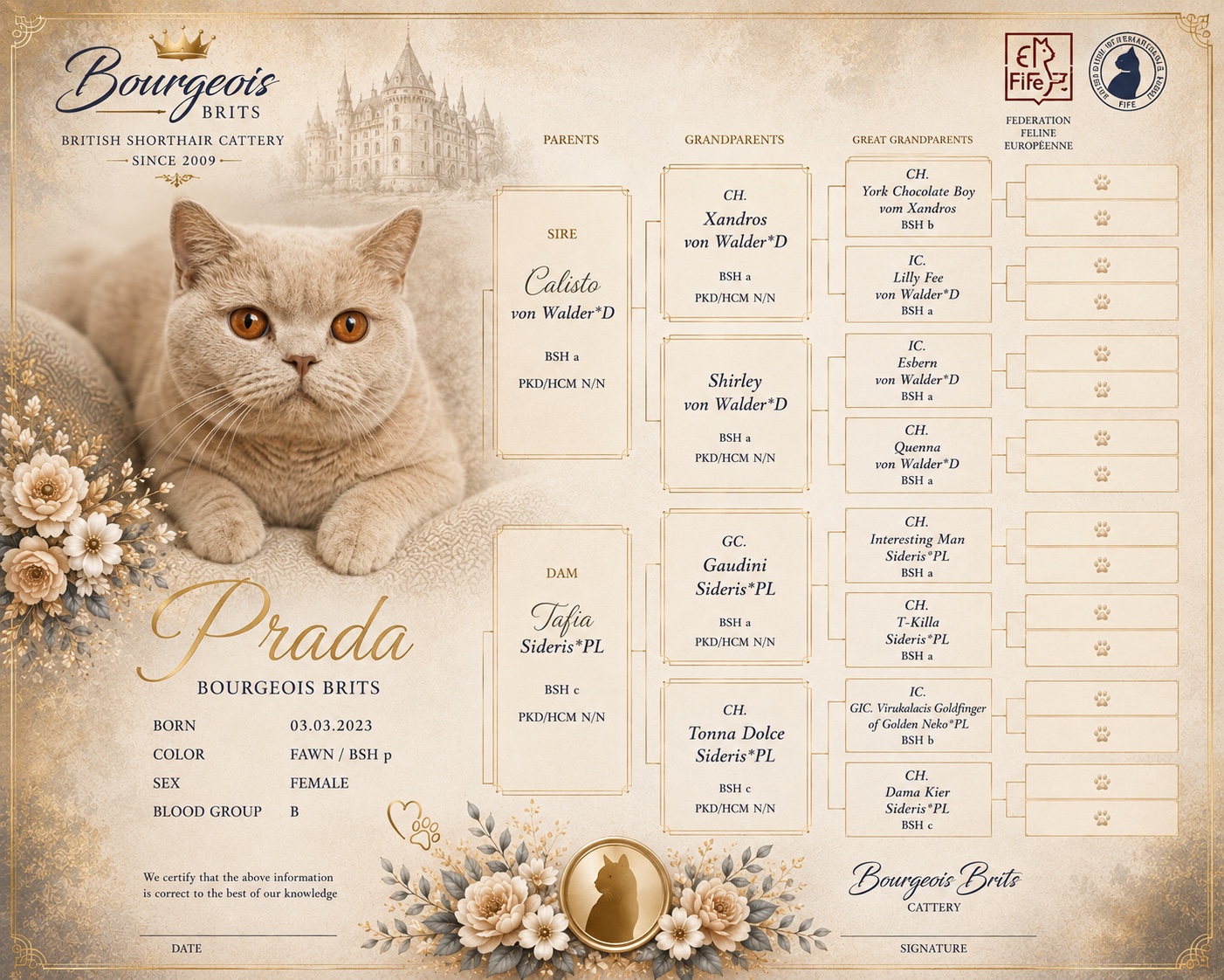 Prada Luna Gatto