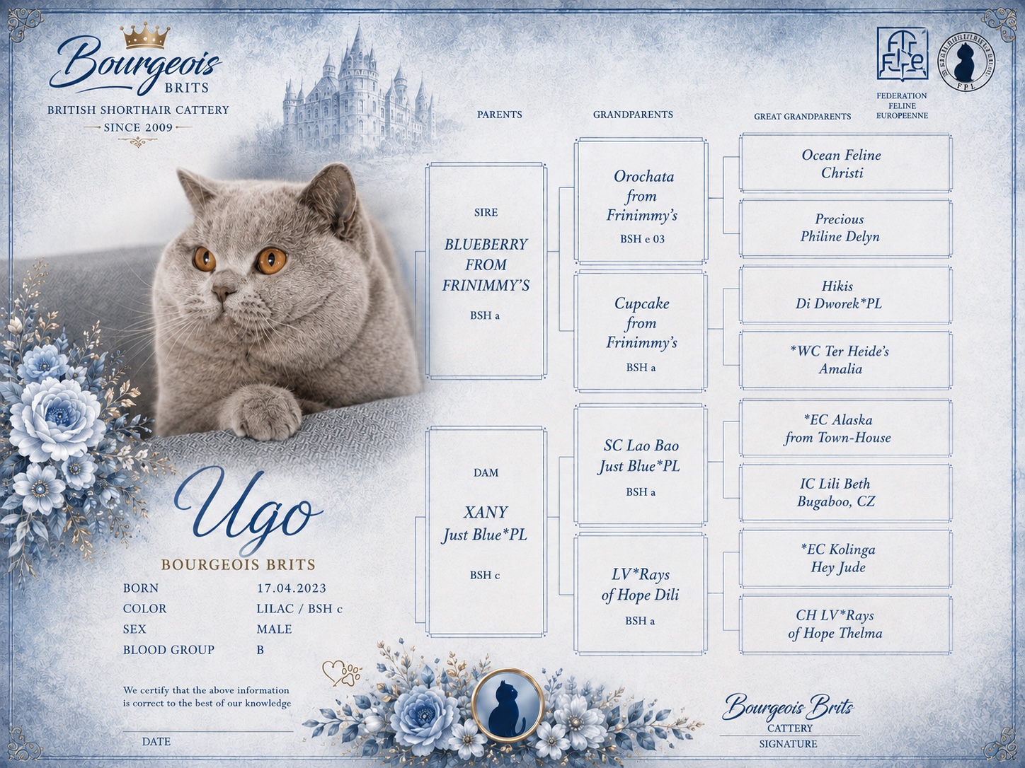 Ugo Just Blue